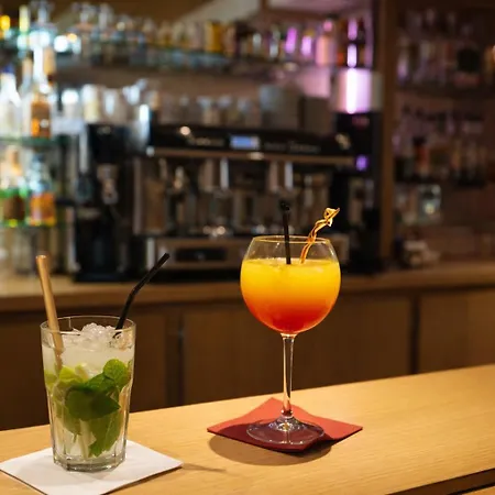 Geographotel Paris-roissy Cdg Airport Hotel Le Mesnil-Amelot